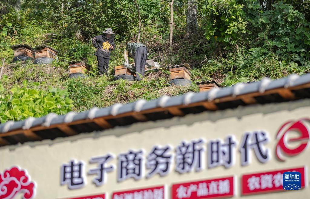 龙虎娱乐平台